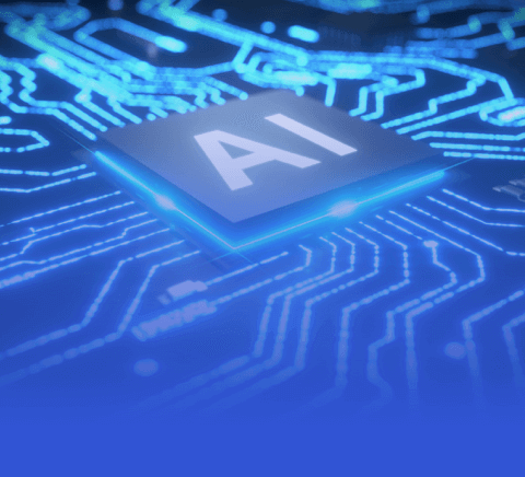 全面解析：B体育